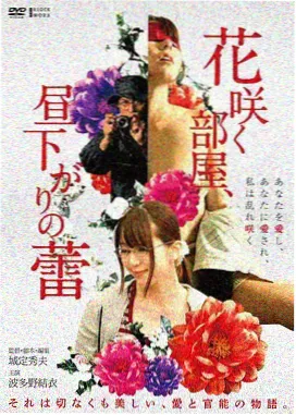 风起长安剧集封面